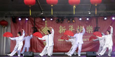 Tai Chi voor Chinees Nieuwjaar Rotterdam 2017
